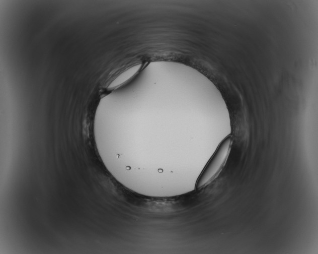 X0000082930282200703020112