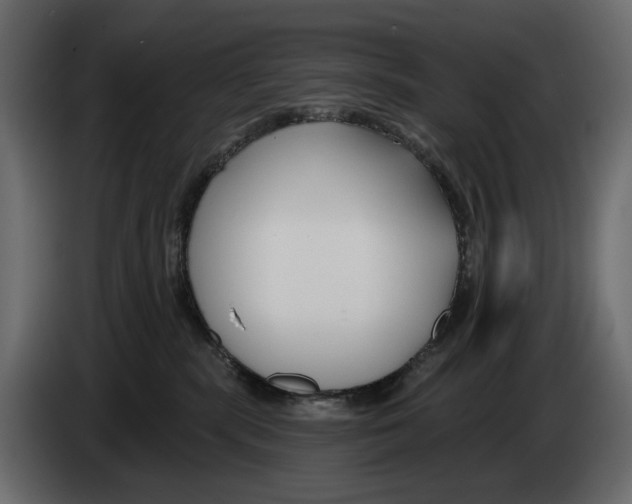X0000082930283200703020112