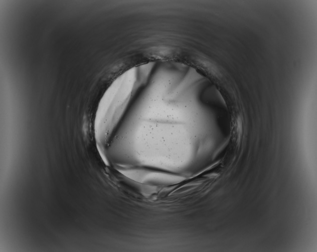 X0000082930284200703020112