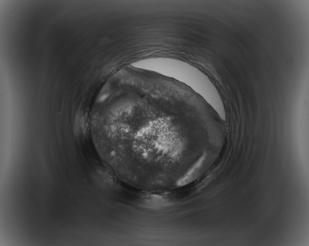 X0000082930285200703020112