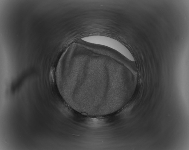 X0000082930286200703020112