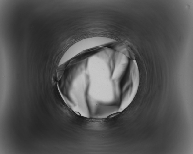 X0000082930288200703020112