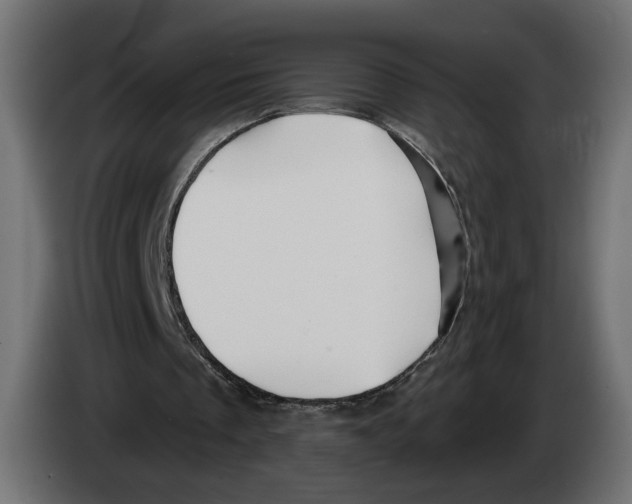 X0000082930289200703020111