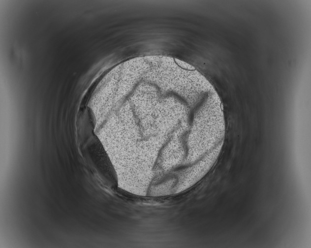 X0000082930290200703020111