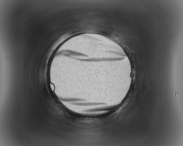 X0000082930292200703020111