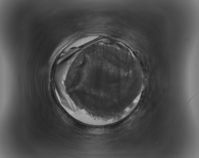 X0000082930293200703020111