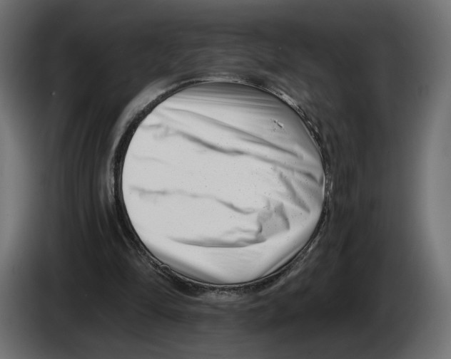 X0000082930294200703020111