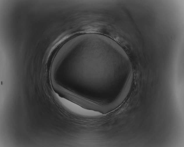X0000082930295200703020111