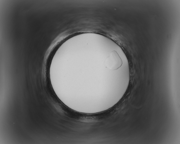 X0000082930296200703020111