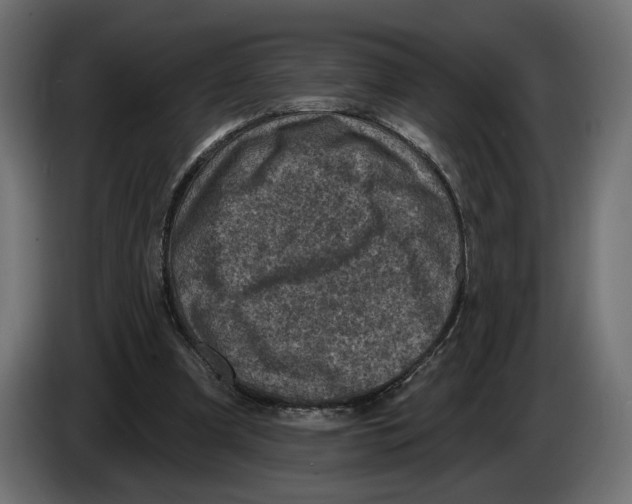 X0000082930297200703020111