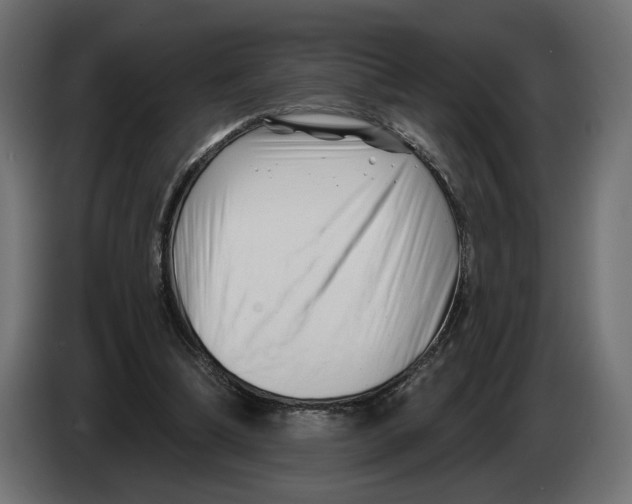 X0000082930298200703020111
