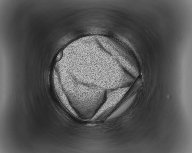 X0000082930299200703020111