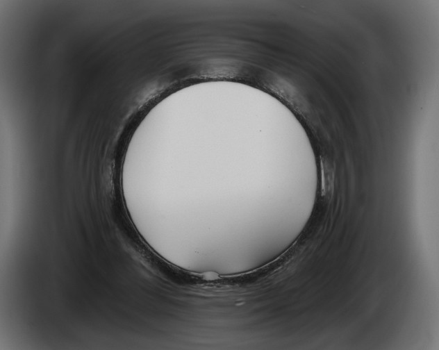 X0000082930300200703020111