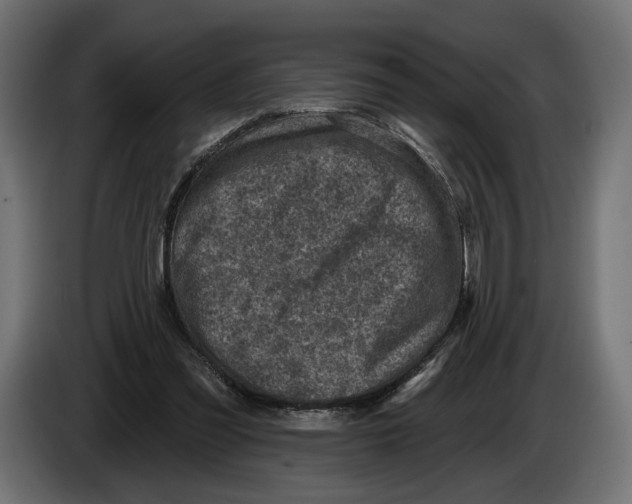 X0000082930301200703020111