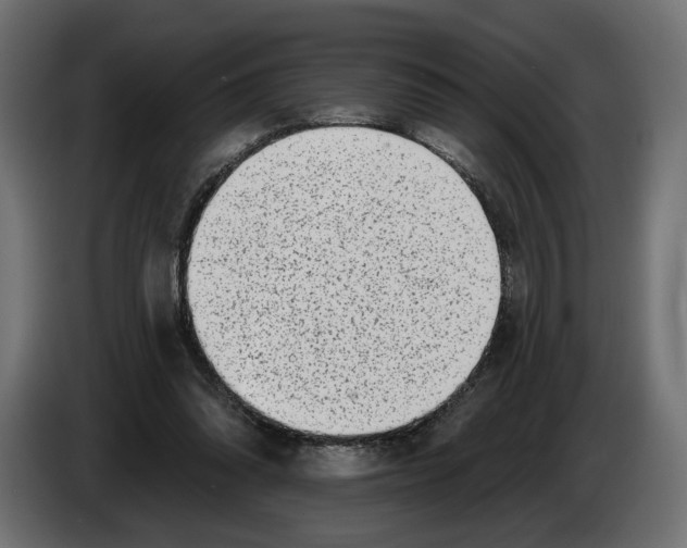 X0000082930302200703020111