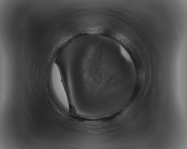 X0000082930303200703020111