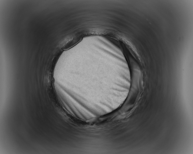 X0000082930305200703020111