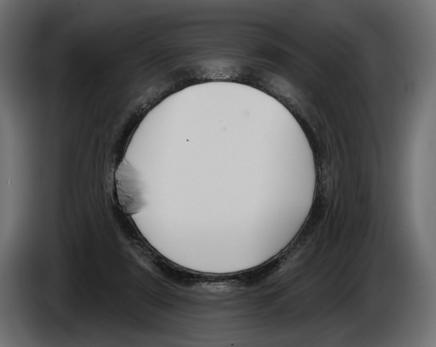 X0000082930307200703020111