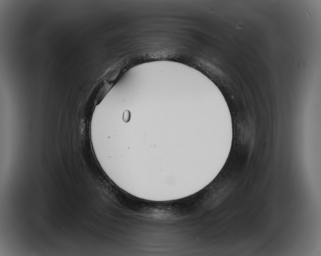 X0000082930308200703020111