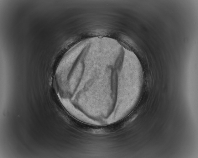 X0000082930309200703020111