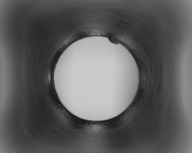 X0000082930310200703020111