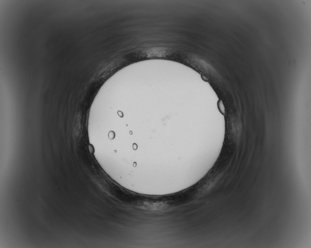 X0000082930311200703020111