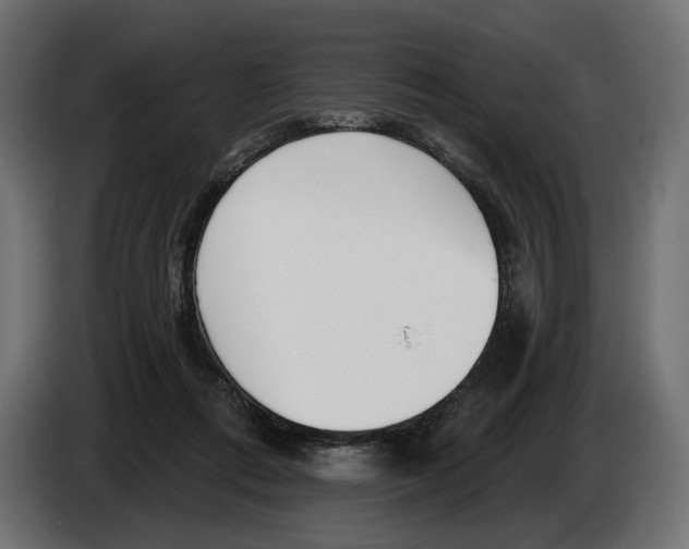 X0000082930312200703020111