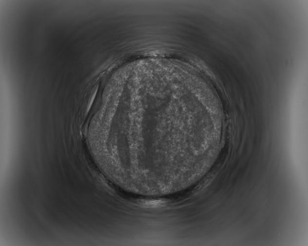 X0000082930313200703020111