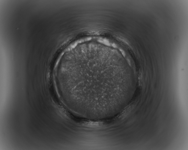 X0000082930314200703020111