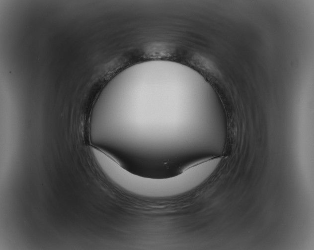 X0000082930315200703020111