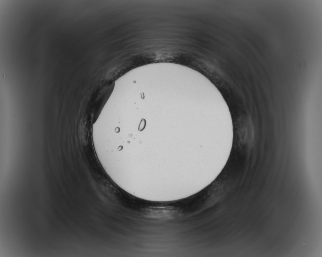 X0000082930316200703020111