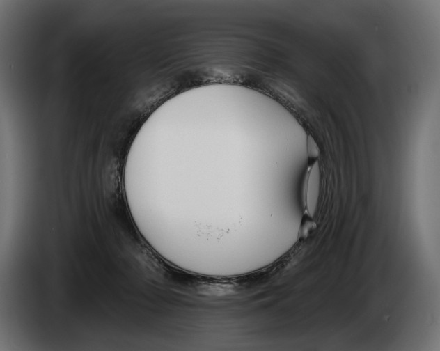 X0000082930318200703020111