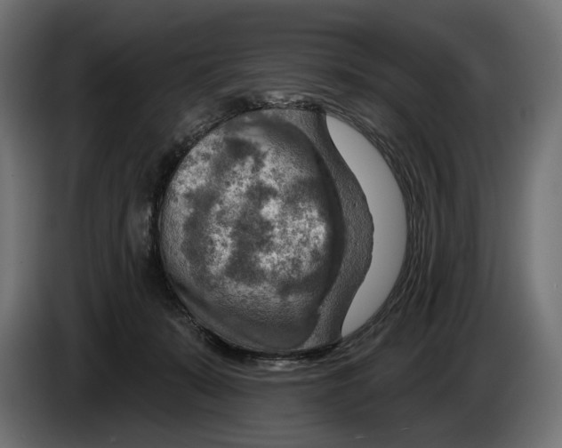 X0000082930319200703020111