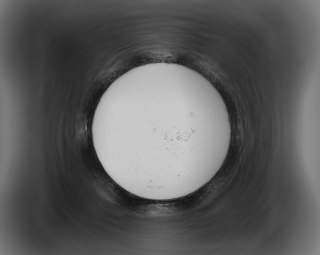 X0000082930320200703020111