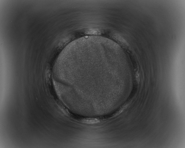 X0000082930322200703020111