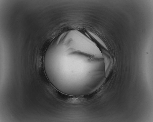 X0000082930323200703020111