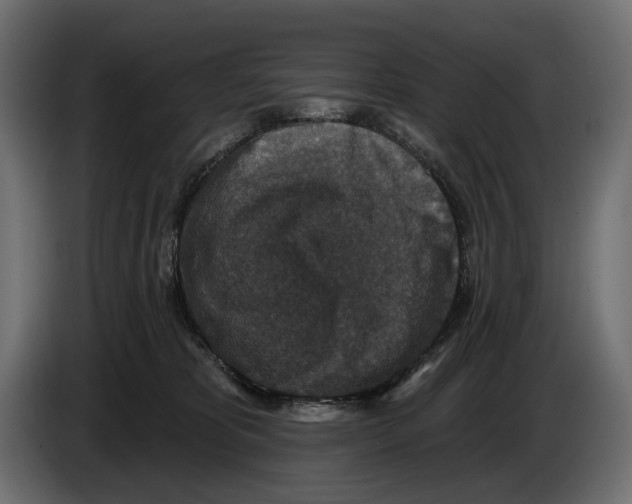 X0000082930325200703020111