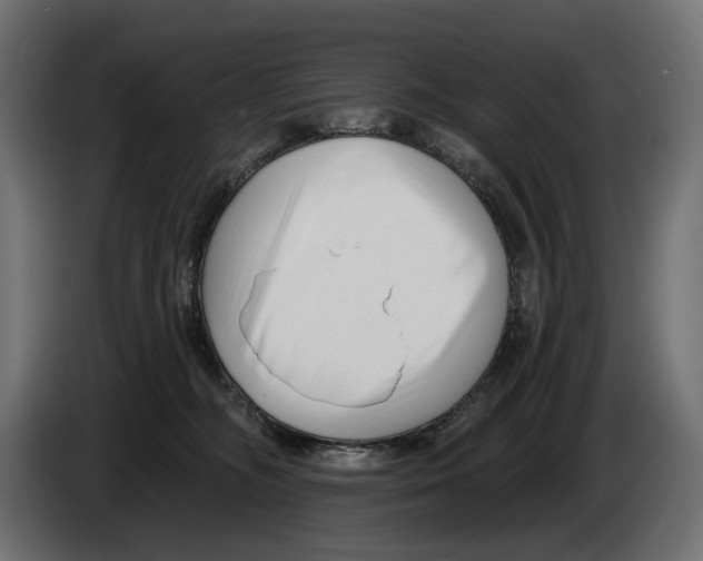 X0000082930326200703020111