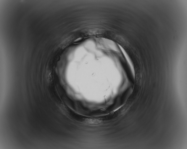 X0000082930327200703020111