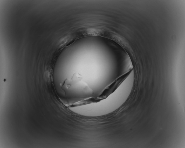 X0000082930329200703020111