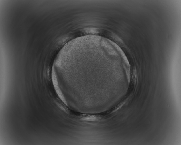 X0000082930330200703020111