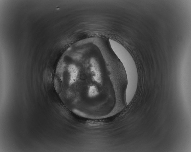 X0000082930331200703020111