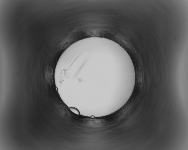 X0000082930332200703020111