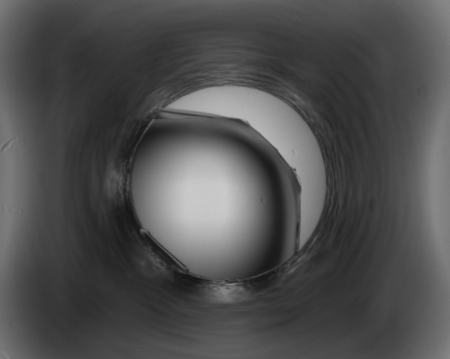 X0000082930333200703020111