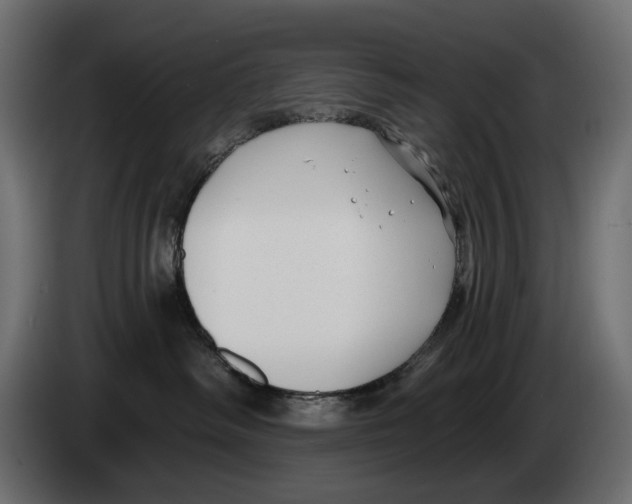 X0000082930334200703020111