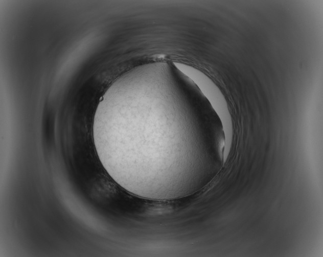 X0000082930335200703020111