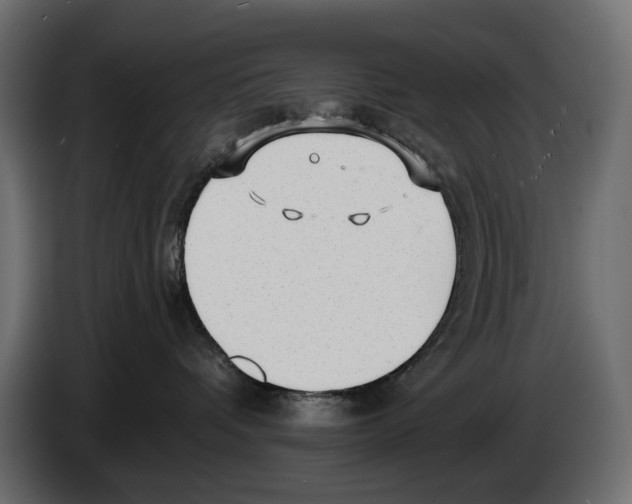 X0000082930336200703020111