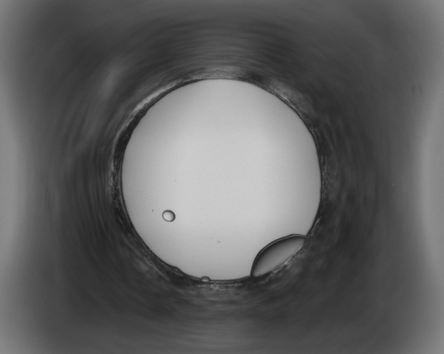 X0000082930338200703020110