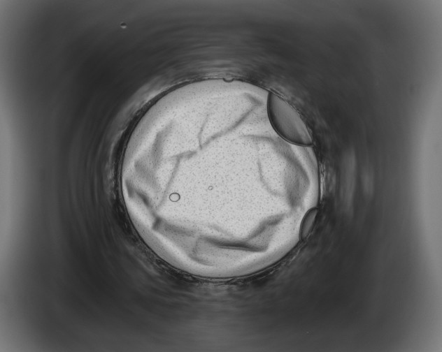X0000082930339200703020110