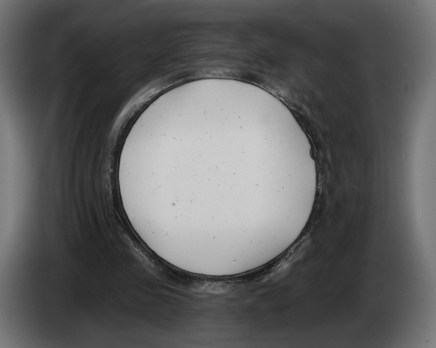 X0000082930341200703020110